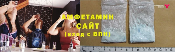 гидра Богданович