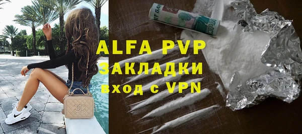 гидра Богданович