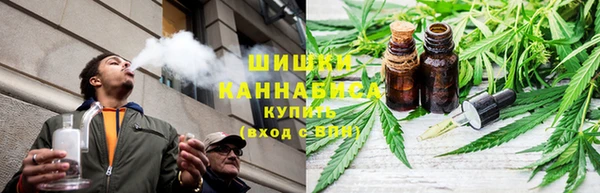 гидра Богданович